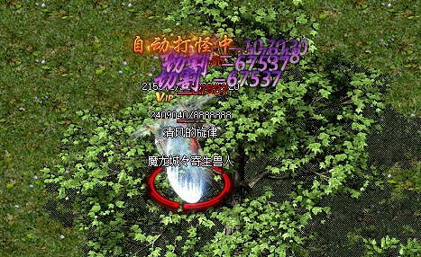 新开传奇网站 新开传奇网站