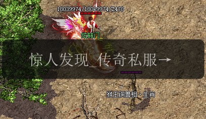 惊人发现_传奇私服中避邪手镯的多功能应用