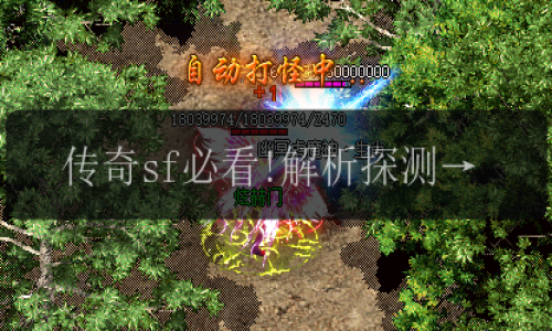 传奇sf必看!解析探测项链的神秘力量,探测范围涵盖哪些物品_